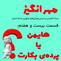 تصویر جلد کتاب صوتی پادکست مهرانگیز-قسمت بیست و هفتم: هایمن یا پردهی بکارت؟