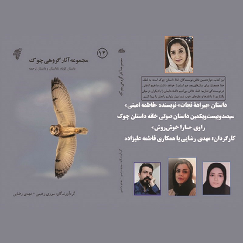 تصویر جلد کتاب صوتی بیراهه نجات
