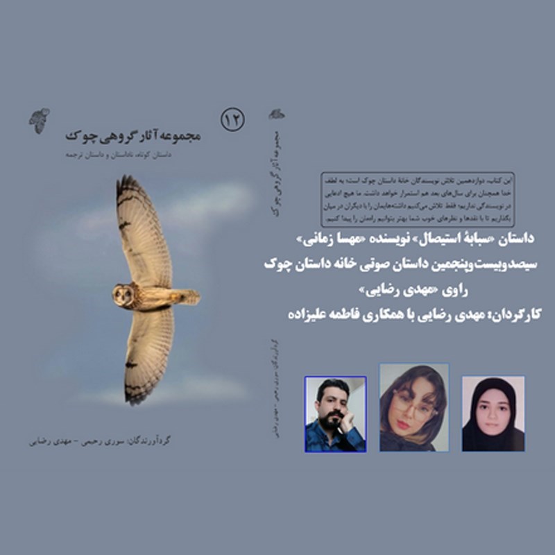 تصویر جلد کتاب صوتی سبابه استیصال