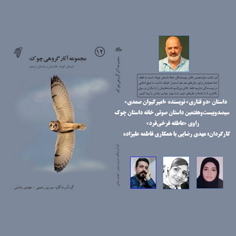 تصویر جلد کتاب صوتی دو قناری