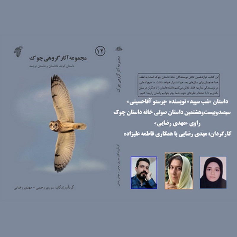 تصویر جلد کتاب صوتی شب سپید