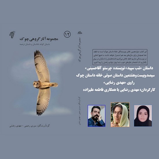 تصویر جلد کتاب صوتی شب سپید