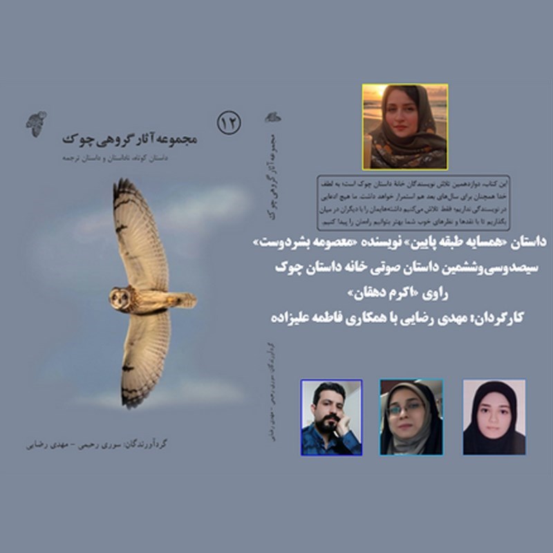 تصویر جلد کتاب صوتی همسایه طبقه پایین