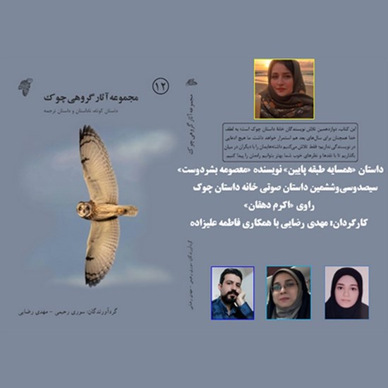 تصویر جلد کتاب صوتی همسایه طبقه پایین