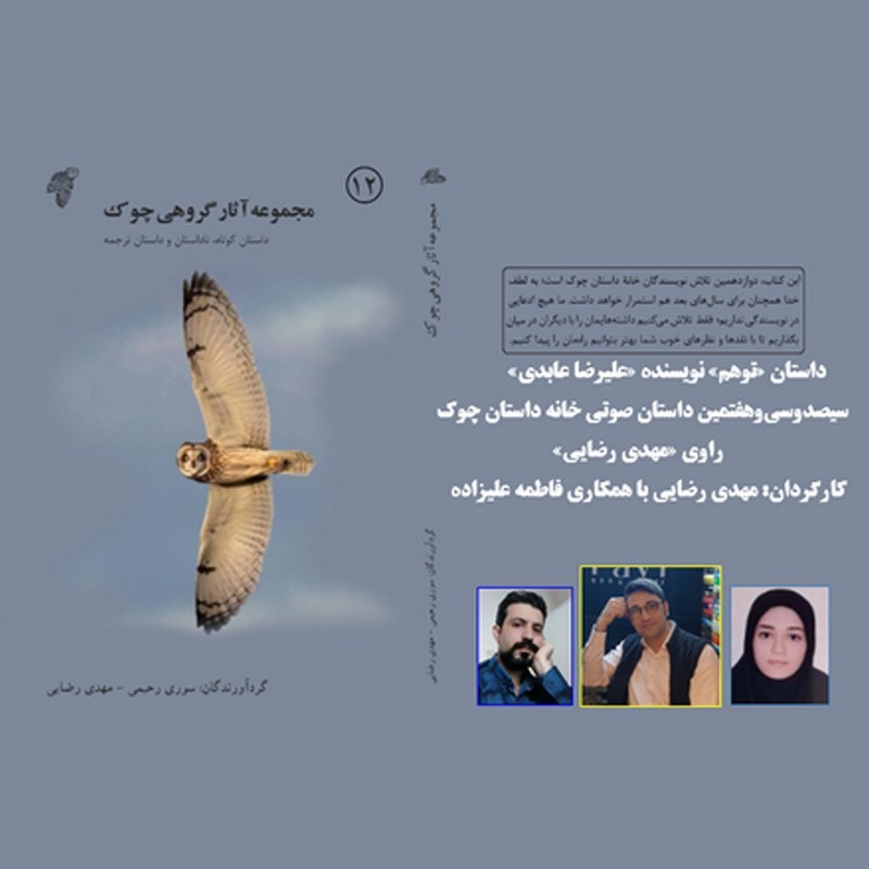 تصویر جلد کتاب صوتی توهم