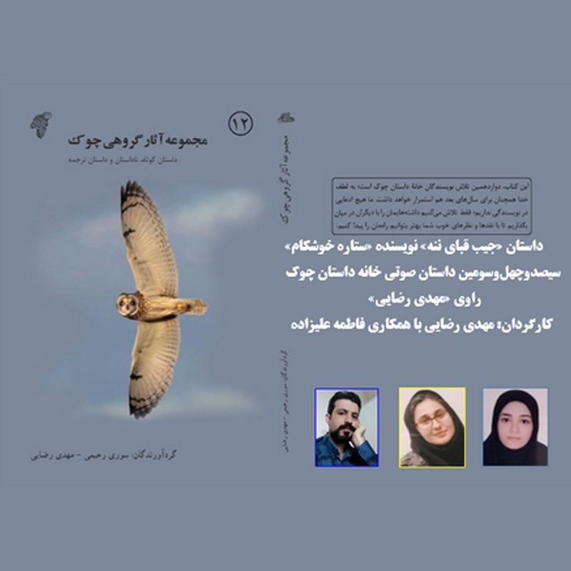 تصویر جلد کتاب صوتی جیب قبای ننه
