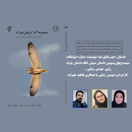 تصویر جلد کتاب صوتی جیب قبای ننه
