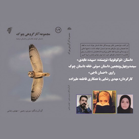 تصویر جلد کتاب صوتی توکوفوبیا