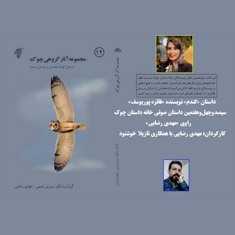 تصویر جلد کتاب صوتی گندم