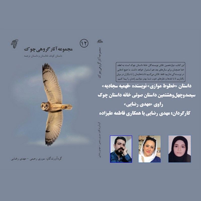 تصویر جلد کتاب صوتی خطوط موازی