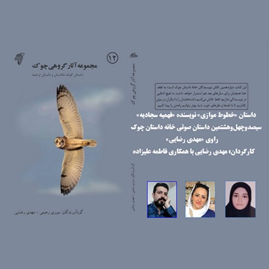 تصویر جلد کتاب صوتی خطوط موازی