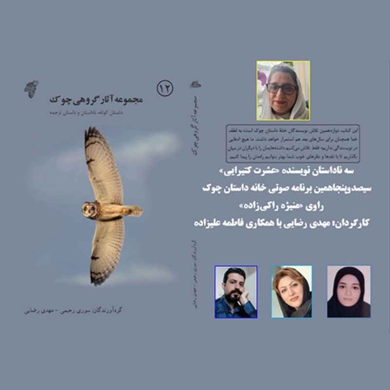 تصویر جلد کتاب صوتی سه ناداستان