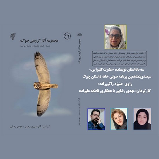 تصویر جلد کتاب صوتی سه ناداستان