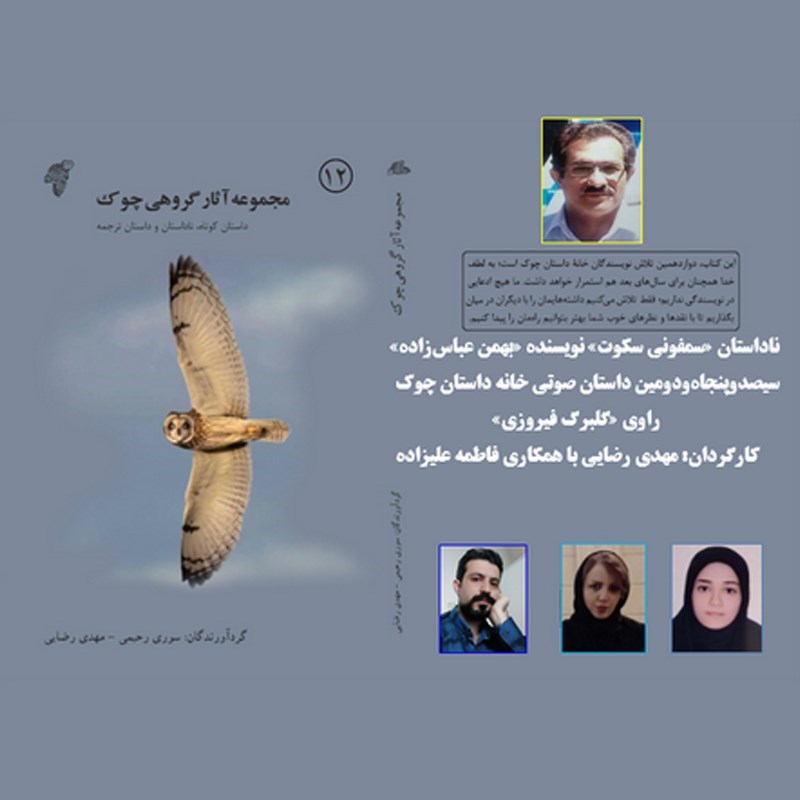 تصویر جلد کتاب صوتی سمفونی سکوت