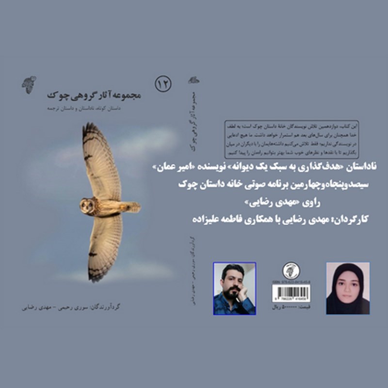 تصویر جلد کتاب صوتی هدف گذاری به سبک یک دیوانه