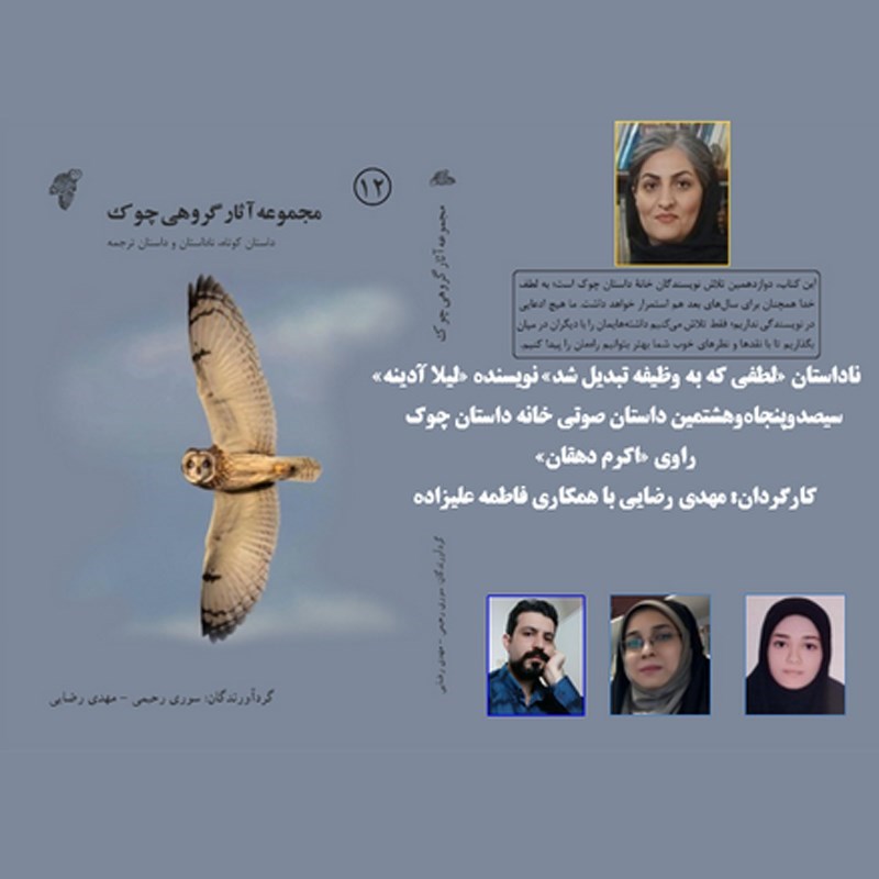 تصویر جلد کتاب صوتی لطفی که به وظیفه تبدیل شد