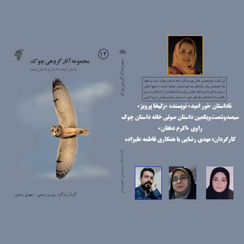 تصویر جلد کتاب صوتی نور امید