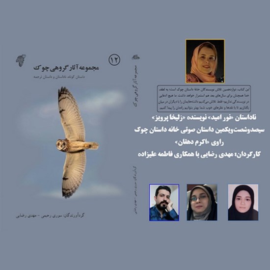 تصویر جلد کتاب صوتی نور امید