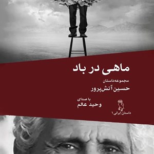 تصویر جلد کتاب صوتی ماهی در باد