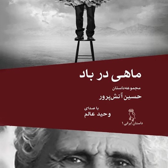 تصویر جلد کتاب صوتی ماهی در باد