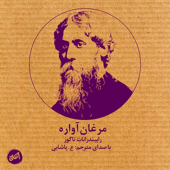 تصویر جلد کتاب صوتی مرغان آواره