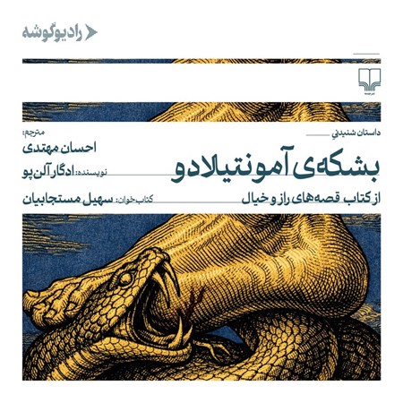 تصویر جلد کتاب صوتی بشکه آمونتیلادو