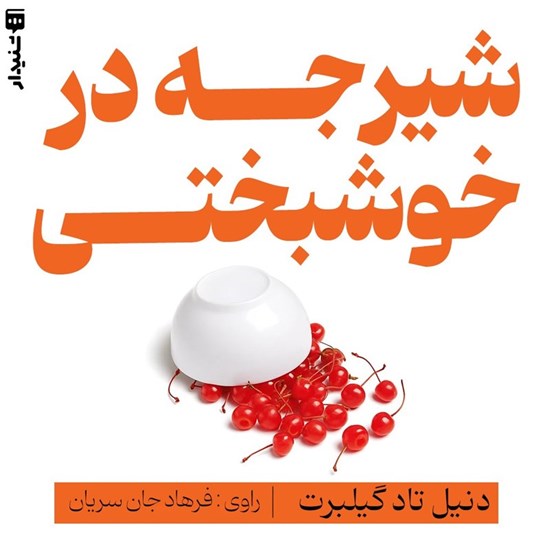 تصویر جلد کتاب صوتی شیرجه در خوشبختی (خلاصه کتاب)
