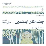تصویر جلد کتاب صوتی چشم های اینشتین