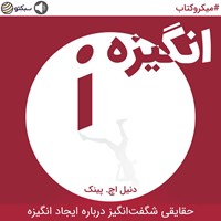 تصویر جلد کتاب صوتی انگیزه، حقایقی شگفت‌انگیز درباره ایجاد انگیزه (خلاصه کتاب)