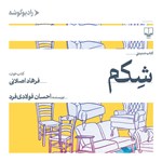 تصویر جلد کتاب صوتی شکم