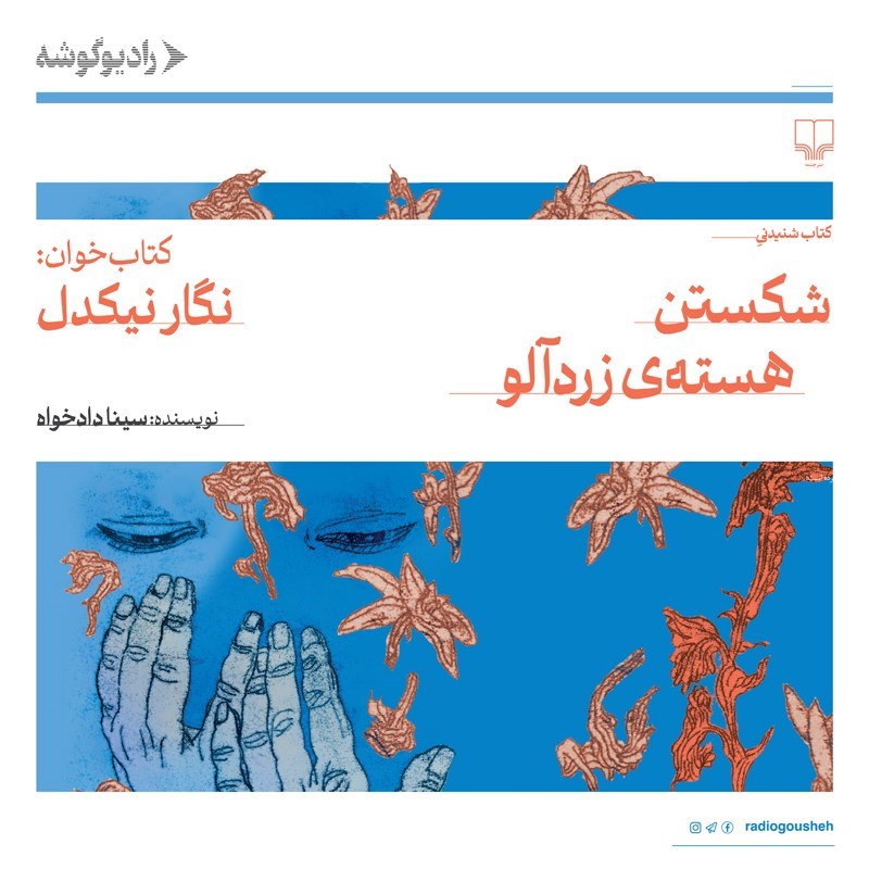 تصویر جلد کتاب صوتی شکستن هسته زردآلو