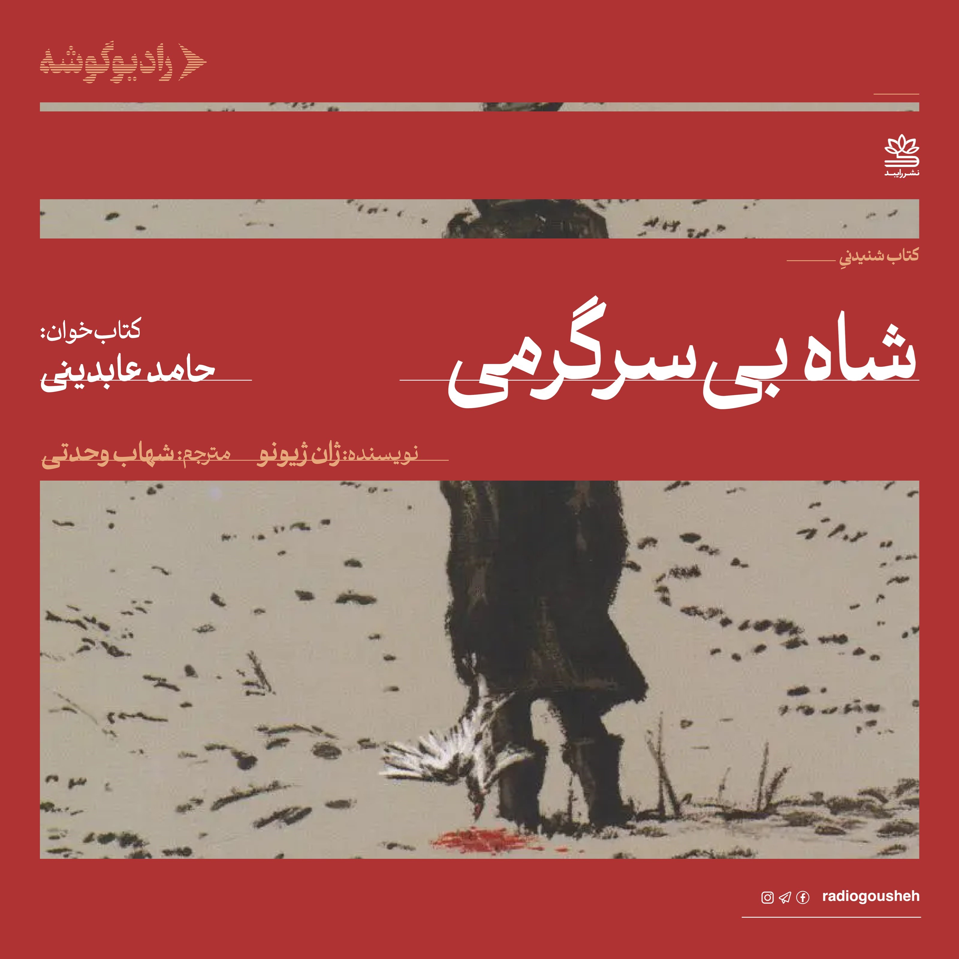 تصویر جلد کتاب صوتی شاه بی سرگرمی