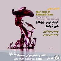 تصویر جلد کتاب صوتی کوچک‌ترین چیزها را می‌دیدم