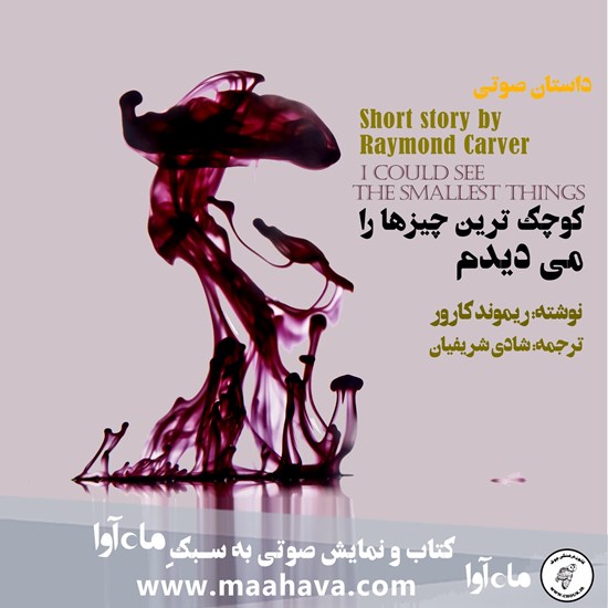 تصویر جلد کتاب صوتی کوچکترین چیزها را میدیدم