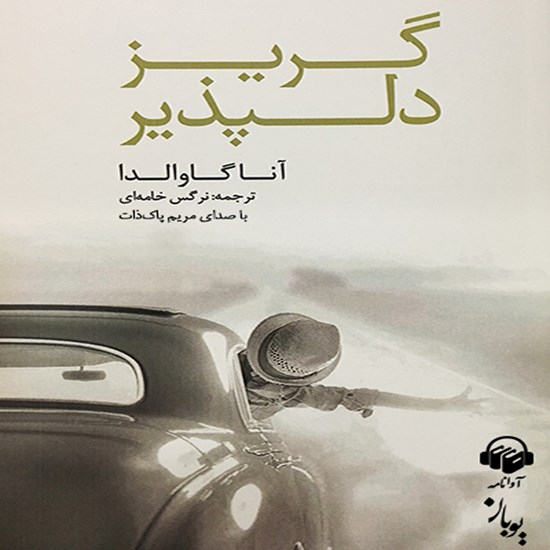 تصویر جلد کتاب صوتی گریز دلپذیر