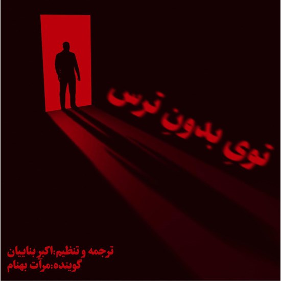 تصویر جلد کتاب صوتی توی بدون ترس