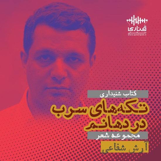تصویر جلد کتاب صوتی تکه های سرب در دهانم