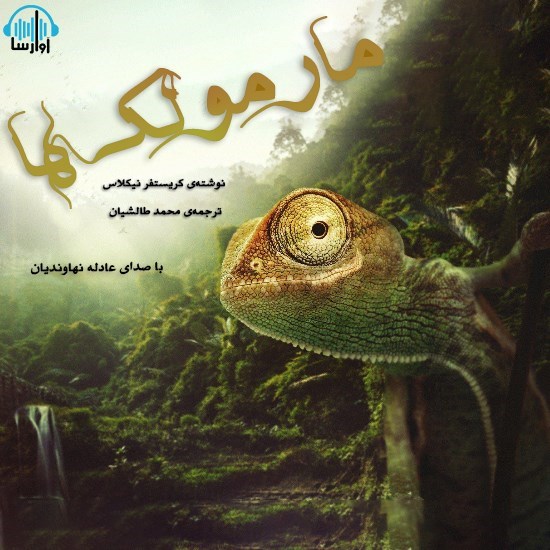 تصویر جلد کتاب صوتی مارمولکها