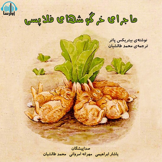 تصویر جلد کتاب صوتی ماجرای خرگوشهای فلاپسی
