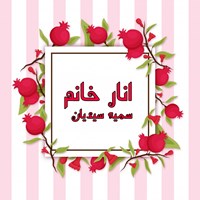 تصویر جلد کتاب صوتی انار خانم