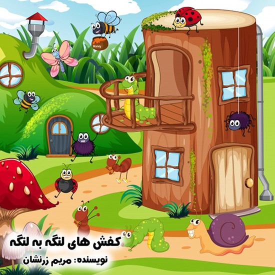 تصویر جلد کتاب صوتی کفش های لنگه به لنگه