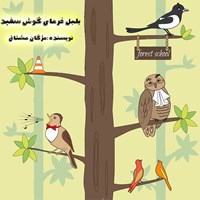 تصویر جلد کتاب صوتی بلبل خرمای گوش سفید