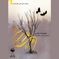 تصویر جلد کتاب صوتی لم یزرع