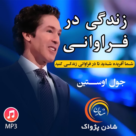 تصویر جلد کتاب صوتی زندگی در فراوانی