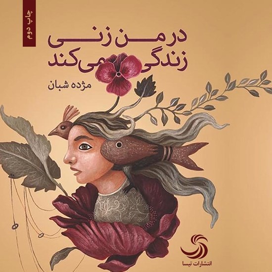 تصویر جلد کتاب صوتی در من زنی زندگی می کند