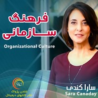 کتاب صوتی فرهنگ سازمانی اثر سارا کندی