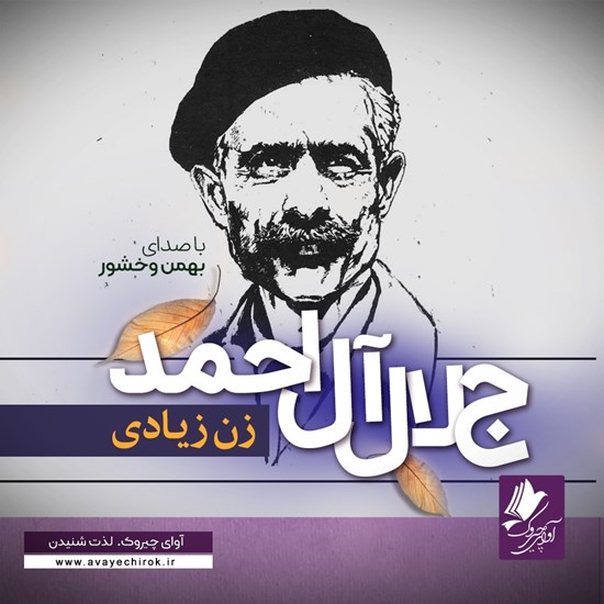 تصویر جلد کتاب صوتی زن زیادی