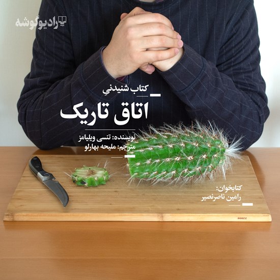 تصویر جلد کتاب صوتی اتاق تاریک