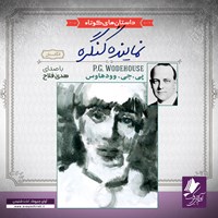 تصویر جلد کتاب صوتی نمایندهی کنگره