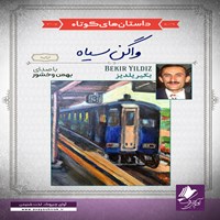 تصویر جلد کتاب صوتی واگن سیاه
